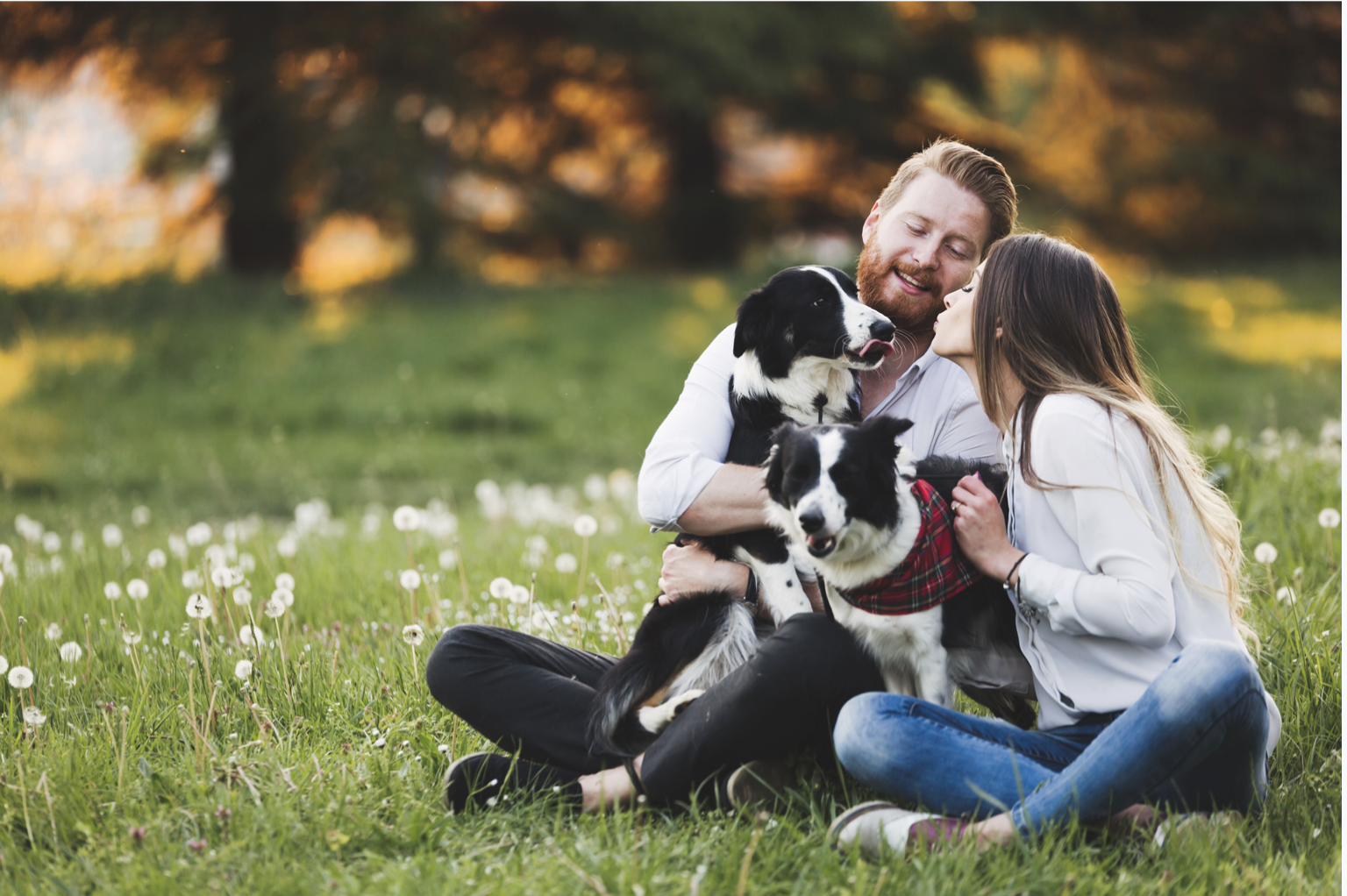a couple with their two dogs sitting in a field